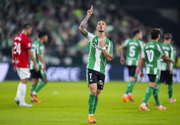 b09d55be-cd10-4575-a6ba-82304240ea2f_alta-libre-aspect-ratio_640w_0